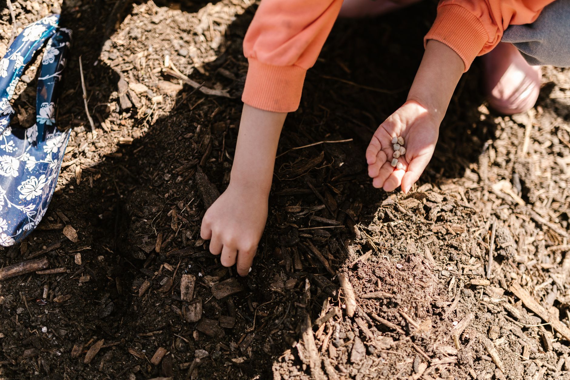 Why Every Classroom Keeps Its Own Garden Bed