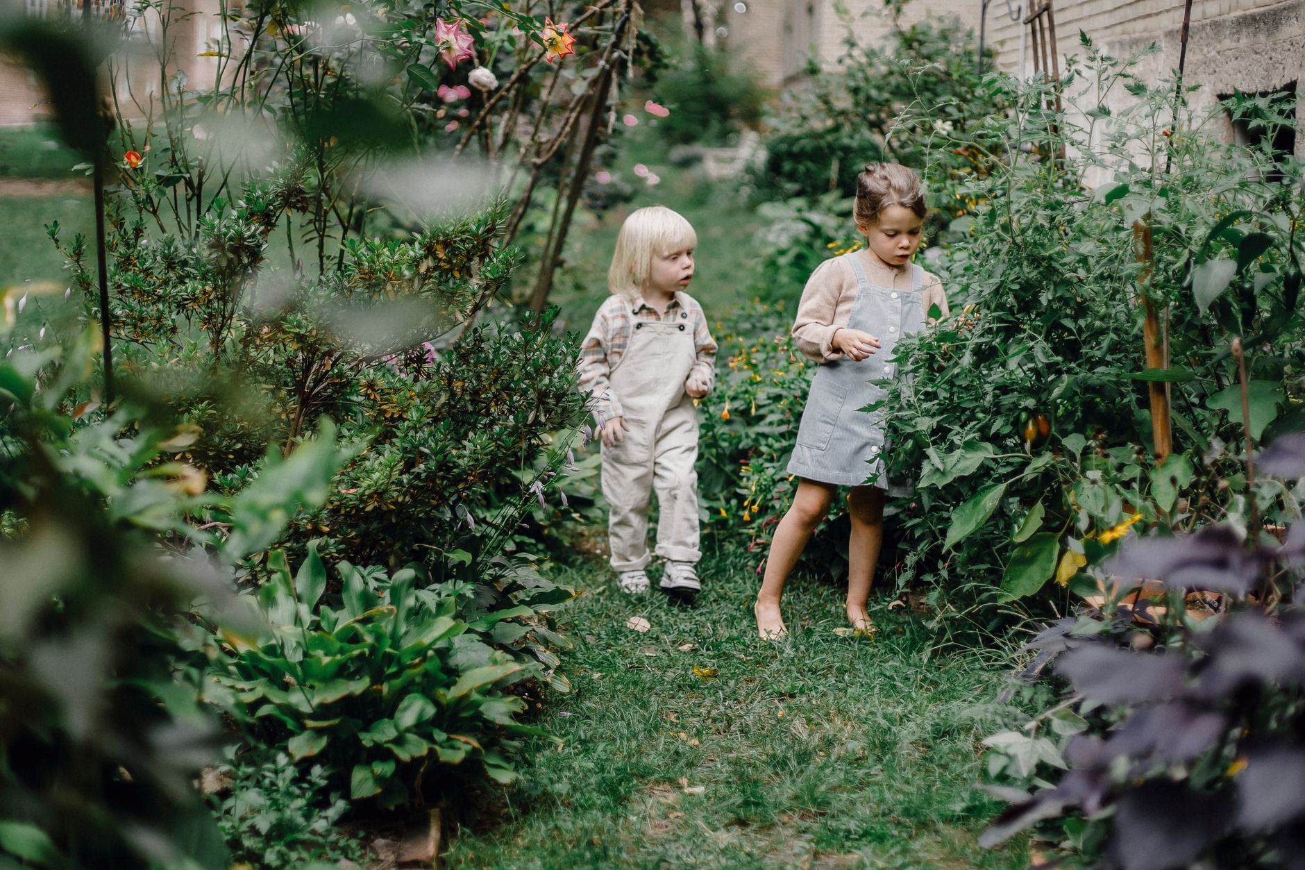 Two young children standing together in a green garden surrounded by blooming shrubs